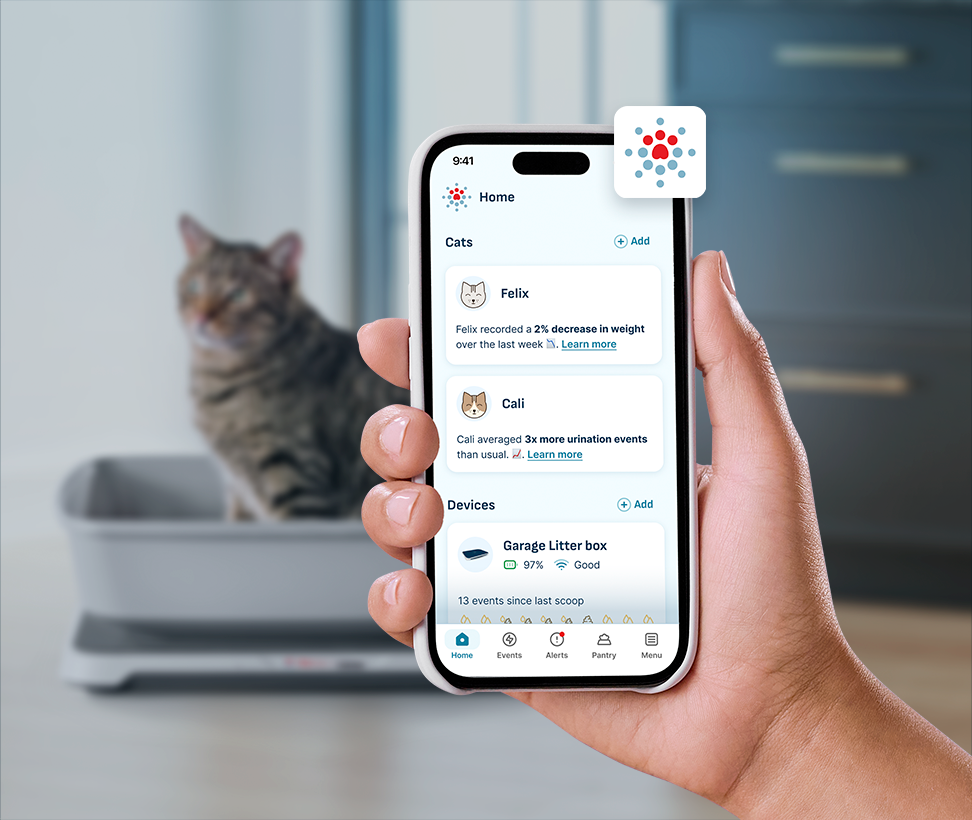 Stay Informed with Smart Devices