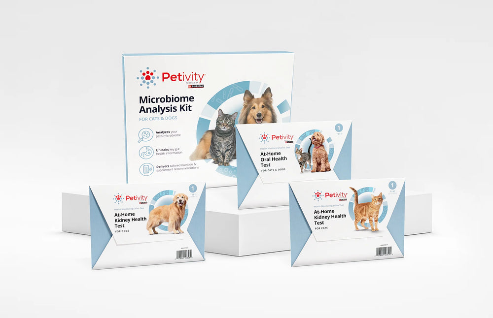 Introducing Petivity At-Home Health Tests for Pets