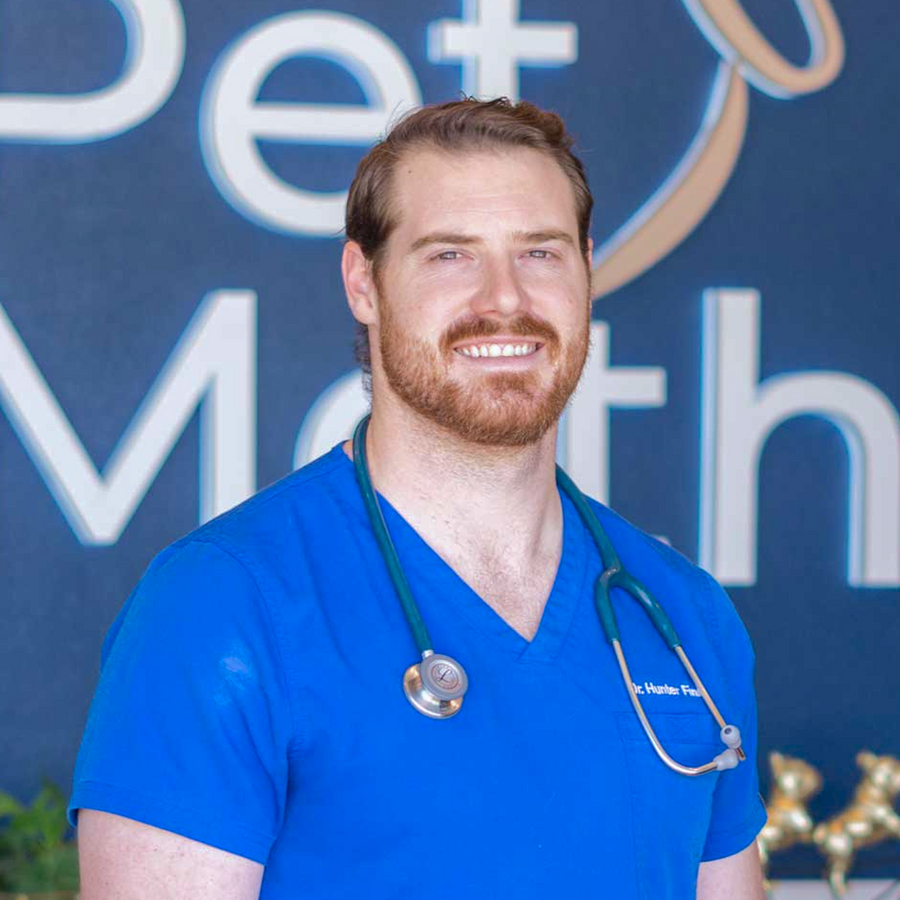 Slideshow (Slide 2 of 3)