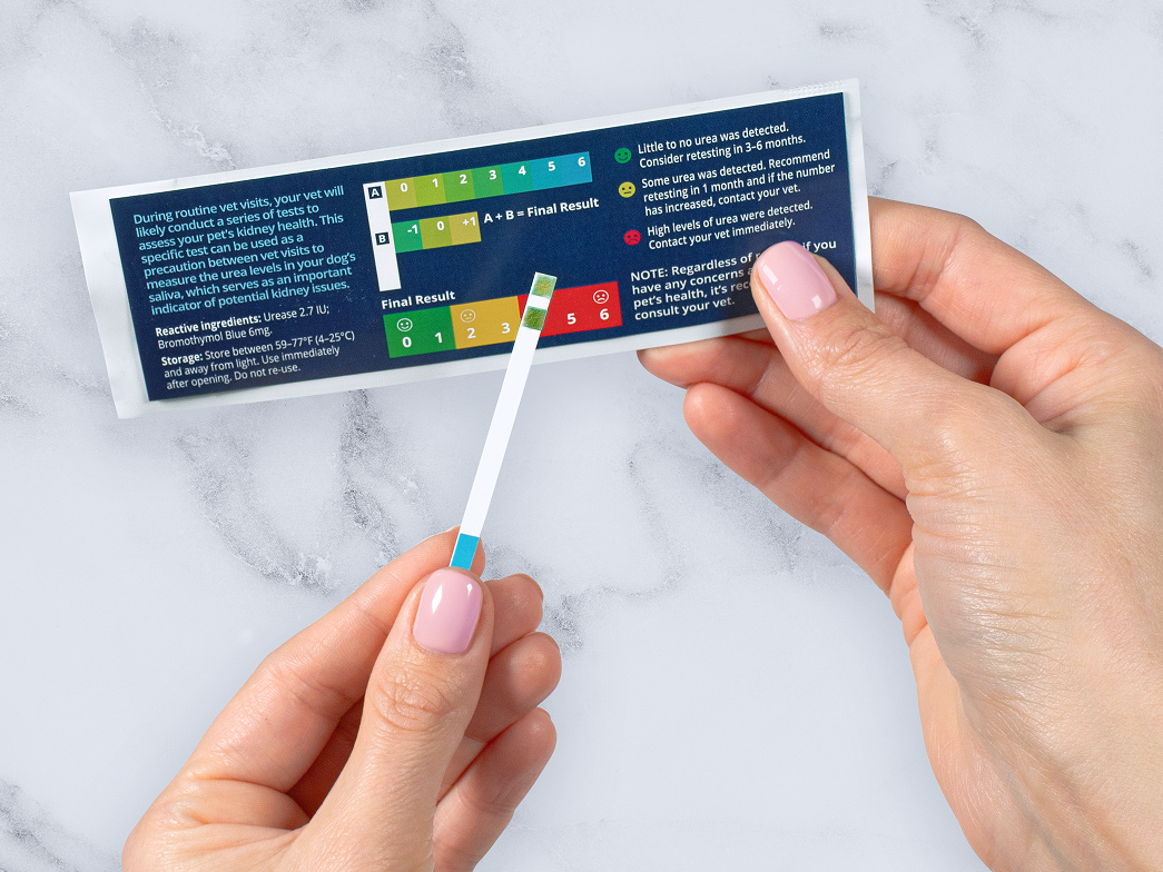 Hands holding a Petivity at-home kidney health test strip and color chart for monitoring dog health levels.