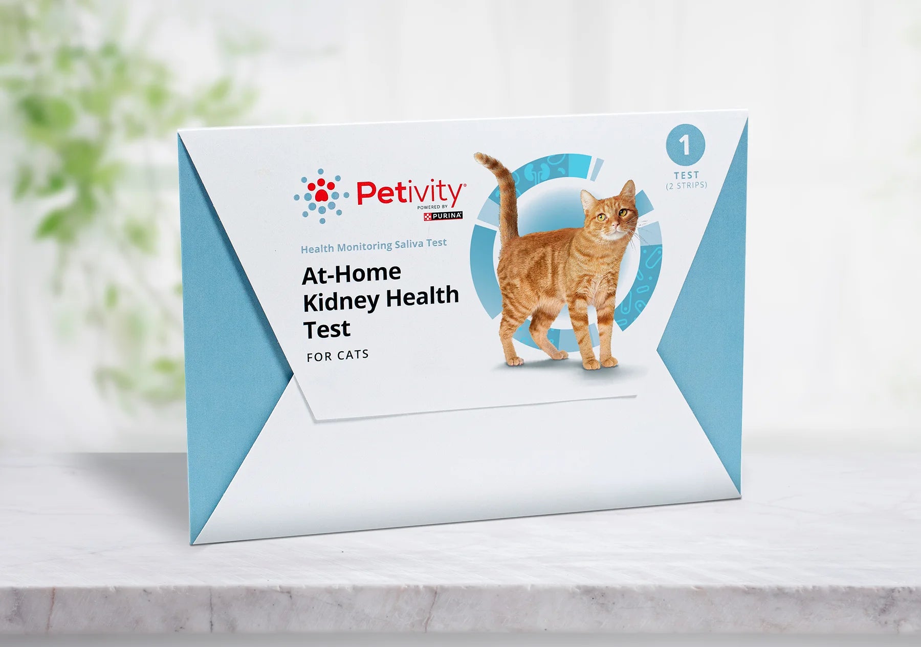 At-Home Cat Kidney Health Test Petivity