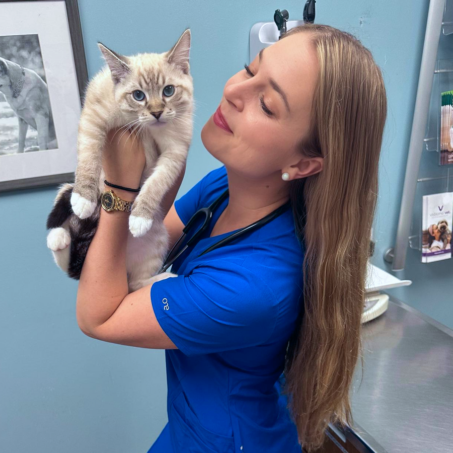 Slideshow (Slide 1 of 3)