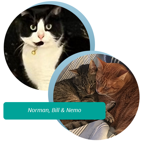 Norman, Bill & Nemo