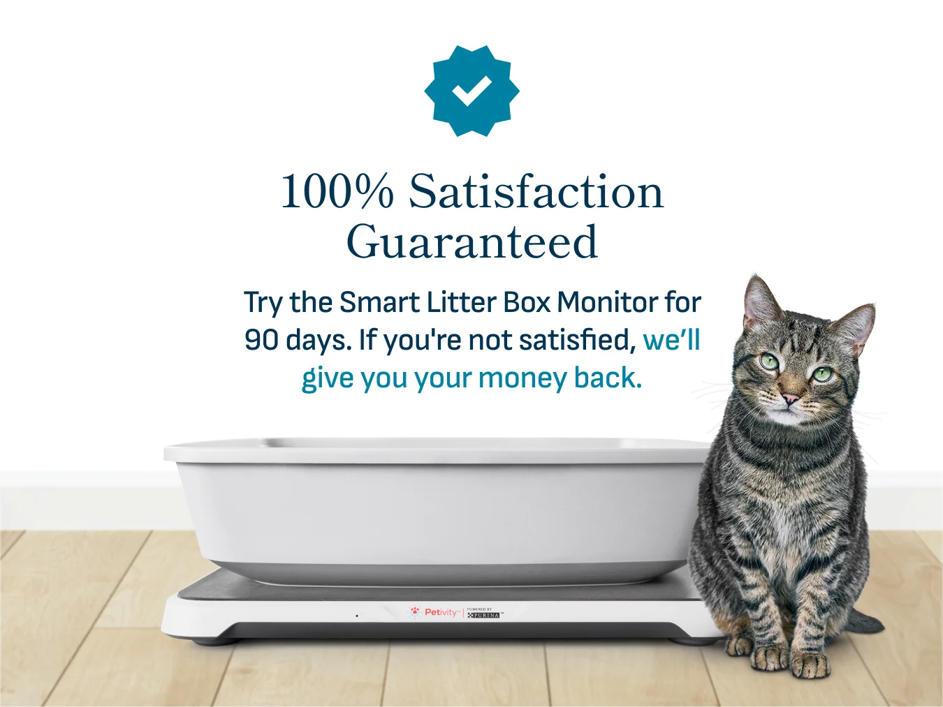 Smart Litter Box Monitor System