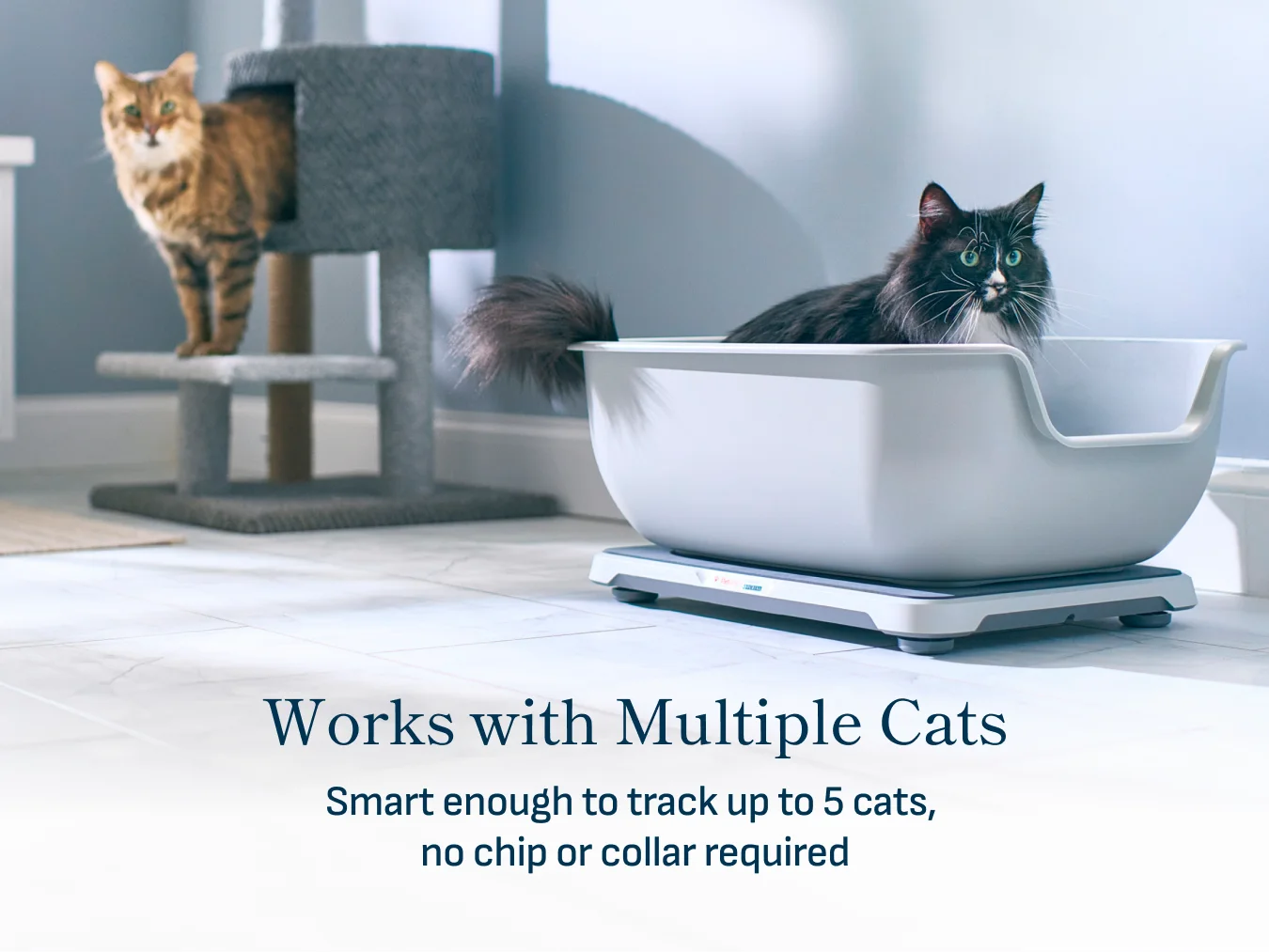 Smart Litter Box Monitor System