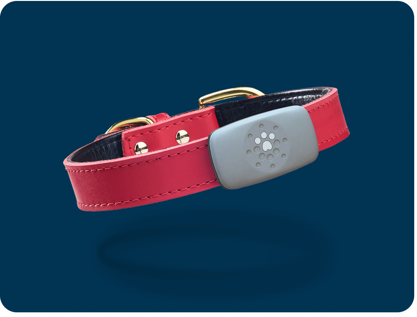 Petivity Smart GPS + Activity Tracker for Dogs