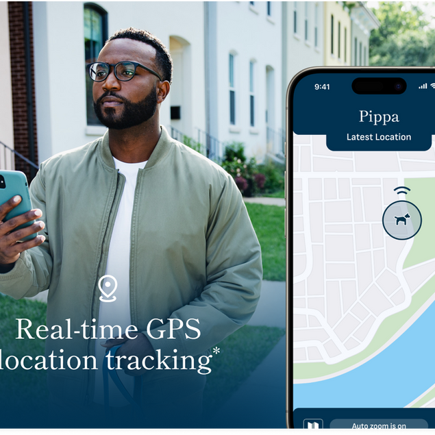 Petivity Smart GPS + Activity Tracker for Dogs