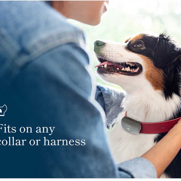 Petivity Smart GPS + Activity Tracker for Dogs