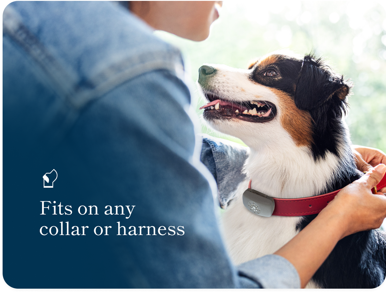 Petivity Smart GPS + Activity Tracker for Dogs