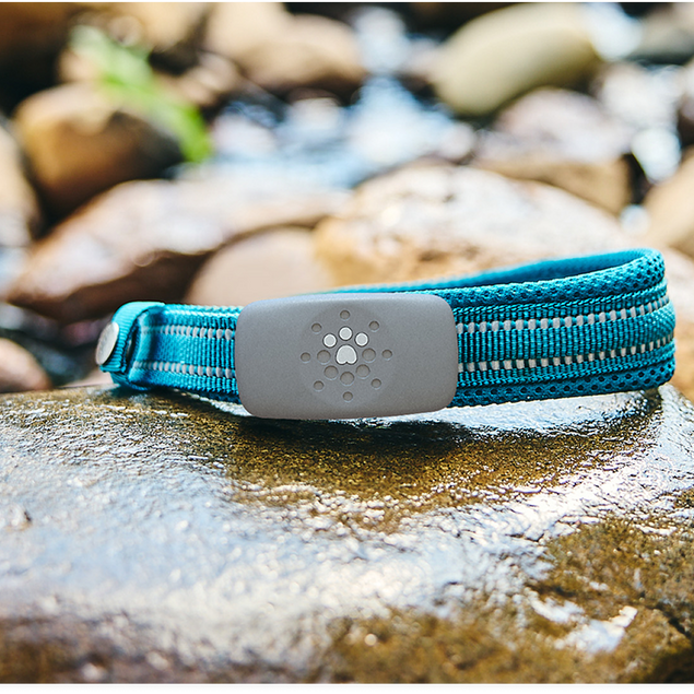 Petivity Smart GPS + Activity Tracker for Dogs