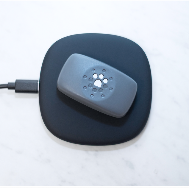 Petivity Smart GPS + Activity Tracker for Dogs