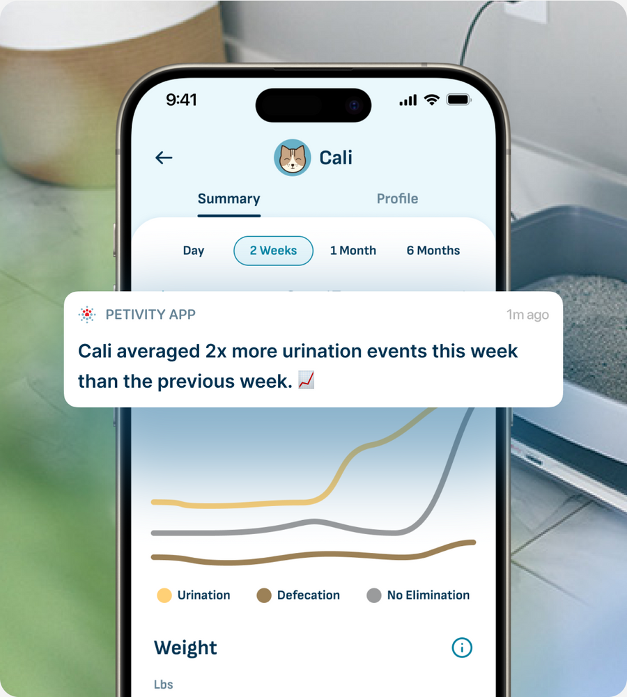It transforms their data into insights you can act on
