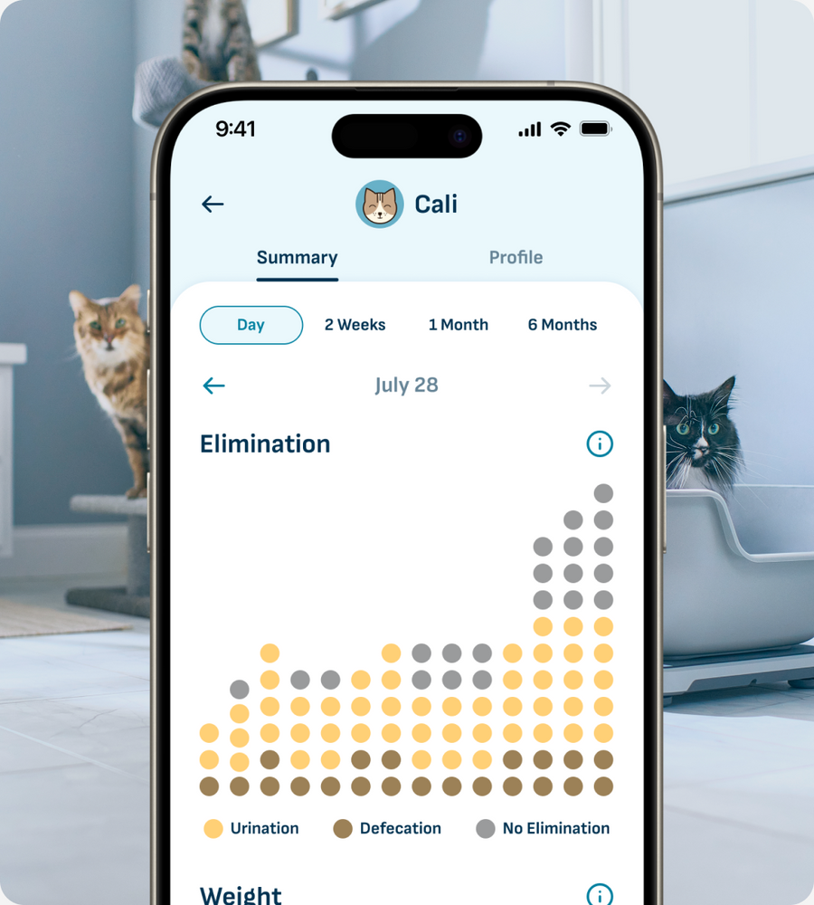 The Petivity app brings your pet’s data right to your phone
