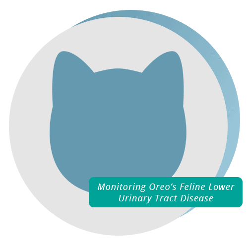 Blue cat head icon with text which reads monitoring Oreo's feline lower urinary tract disease