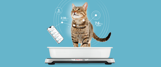 5 Tips for Getting the Most out of Your Smart Litter Box Monitor