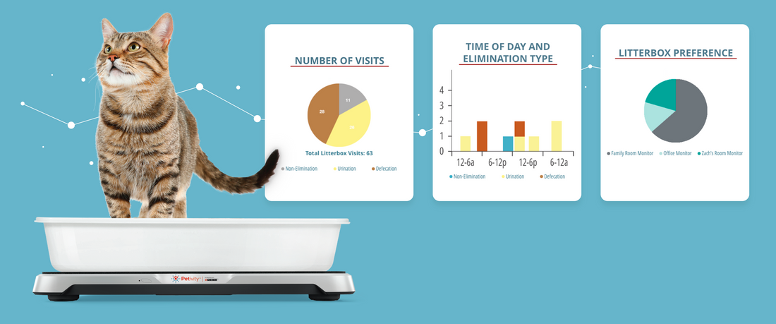 Understanding Your Smart Litter Box Monitor Data | Petivity