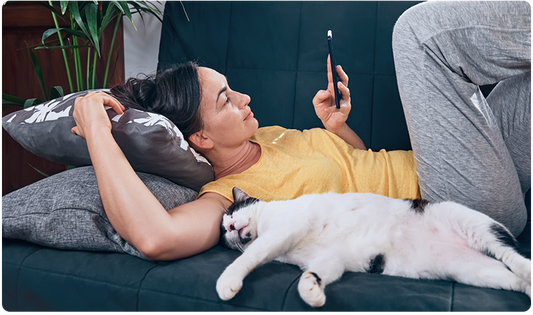 Syncing Your Smart Litter Box Monitor with the Petivity App