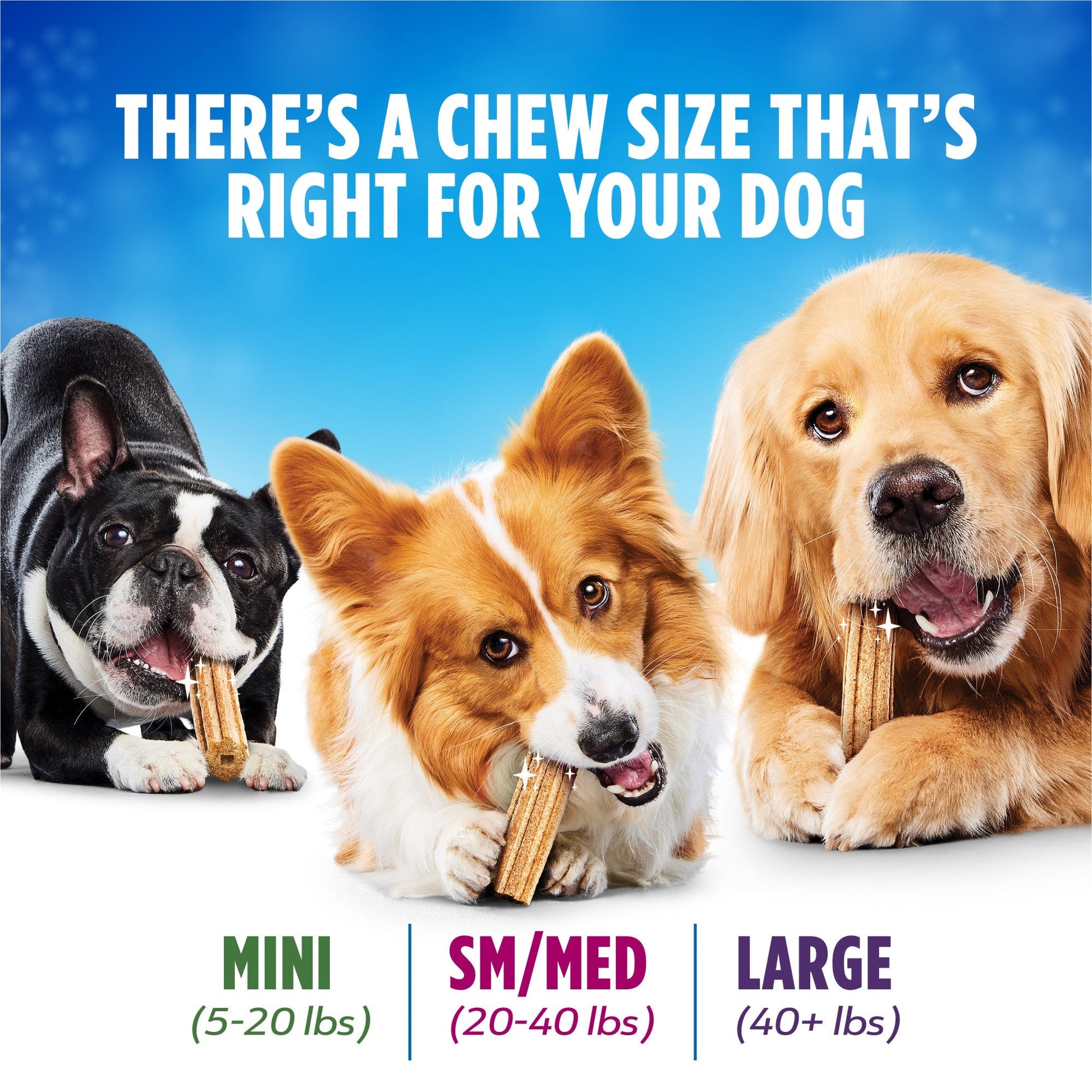Three dogs of different breeds chewing on dental chews sized for small, medium, and large dogs against a blue background with text.