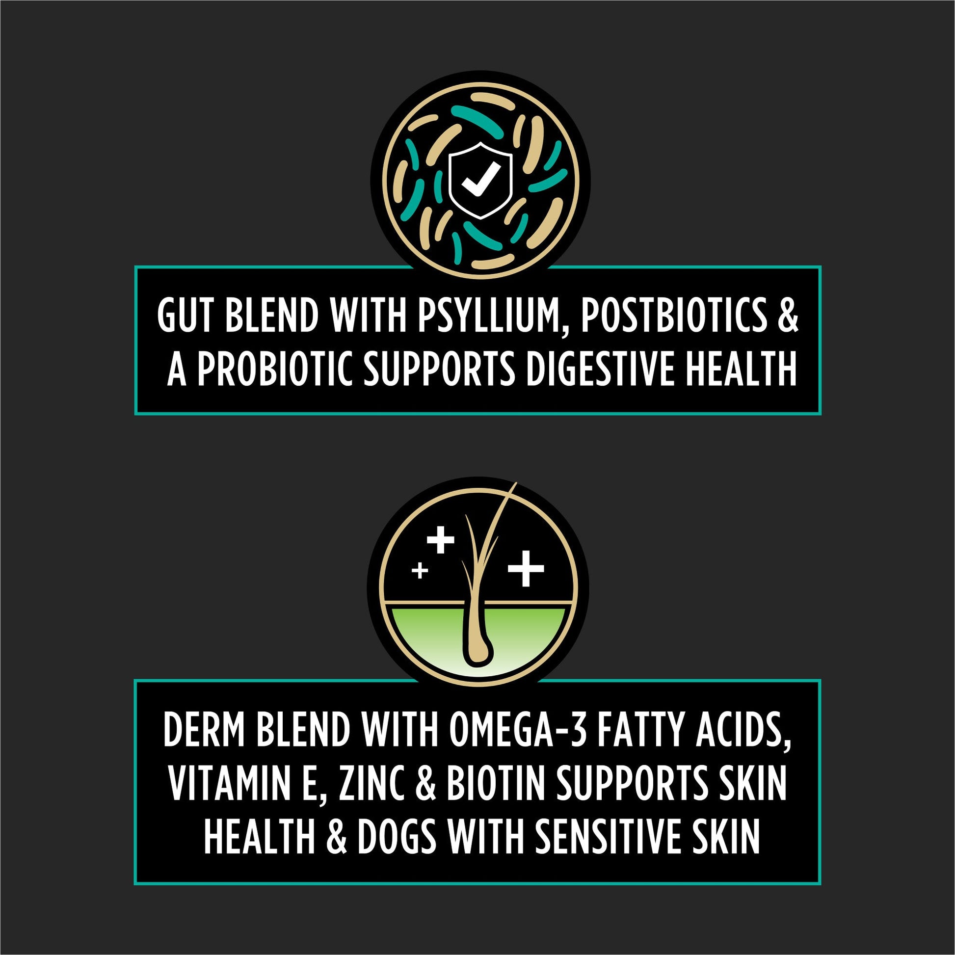 Graphic showing gut blend with psyllium and probiotics for digestion and derm blend with omega-3, vitamin E, zinc, and biotin for skin health