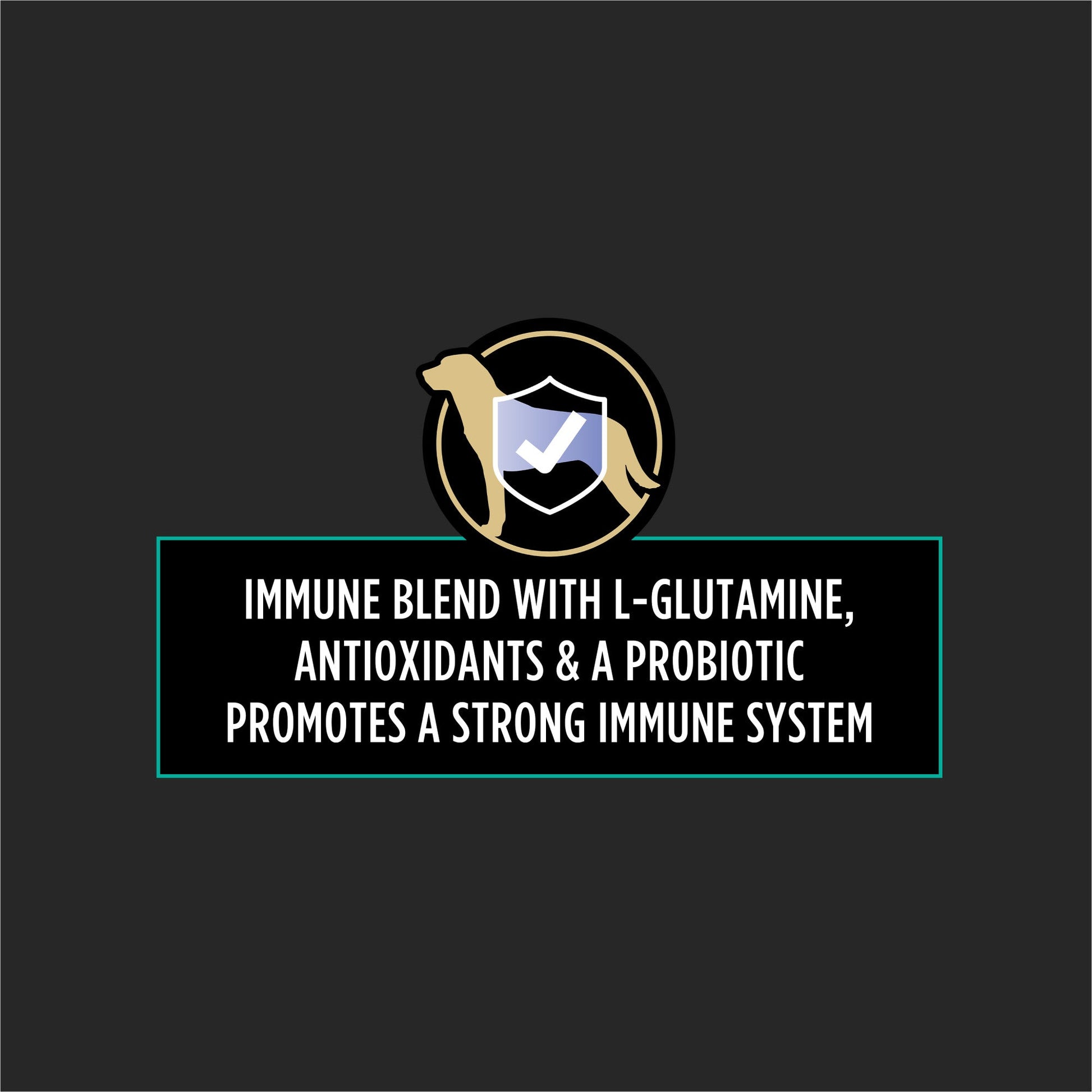 Dog immune blend with L-glutamine, antioxidants, and probiotics supports a strong immune system for overall canine health.