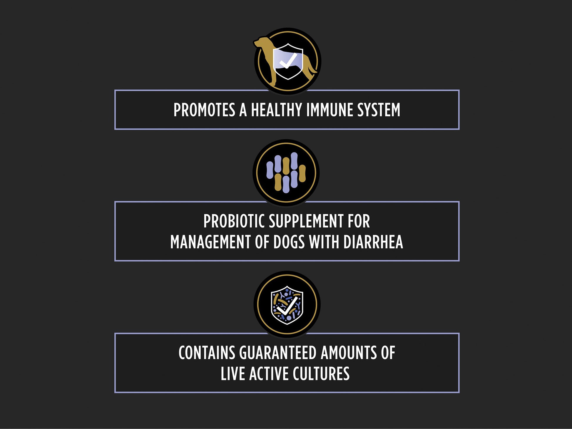 Graphic highlighting probiotic supplement benefits for dogs promoting immune health, managing diarrhea, and containing live active cultures.