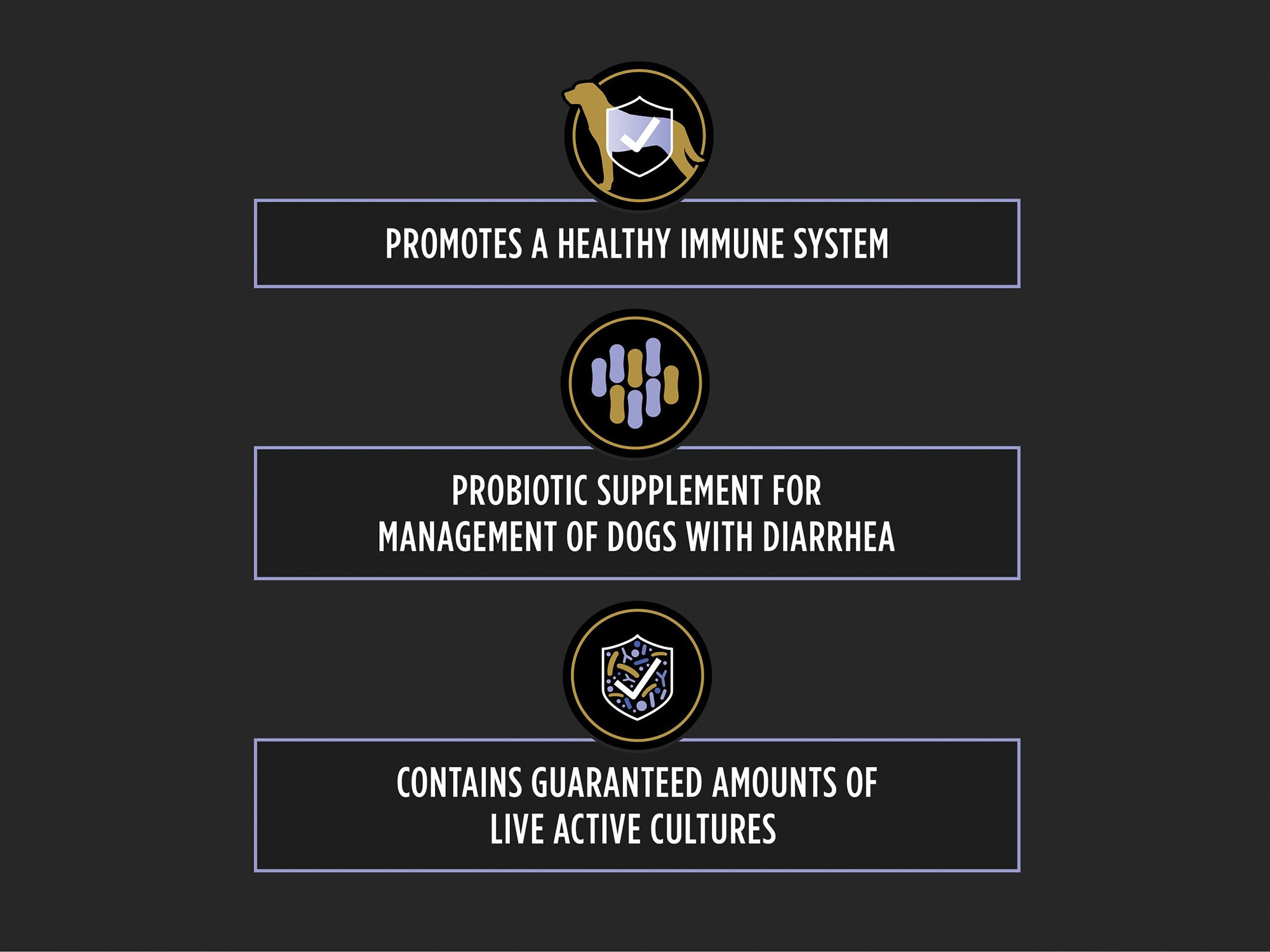 Graphic highlighting probiotic supplement benefits for dogs promoting immune health, managing diarrhea, and containing live active cultures.