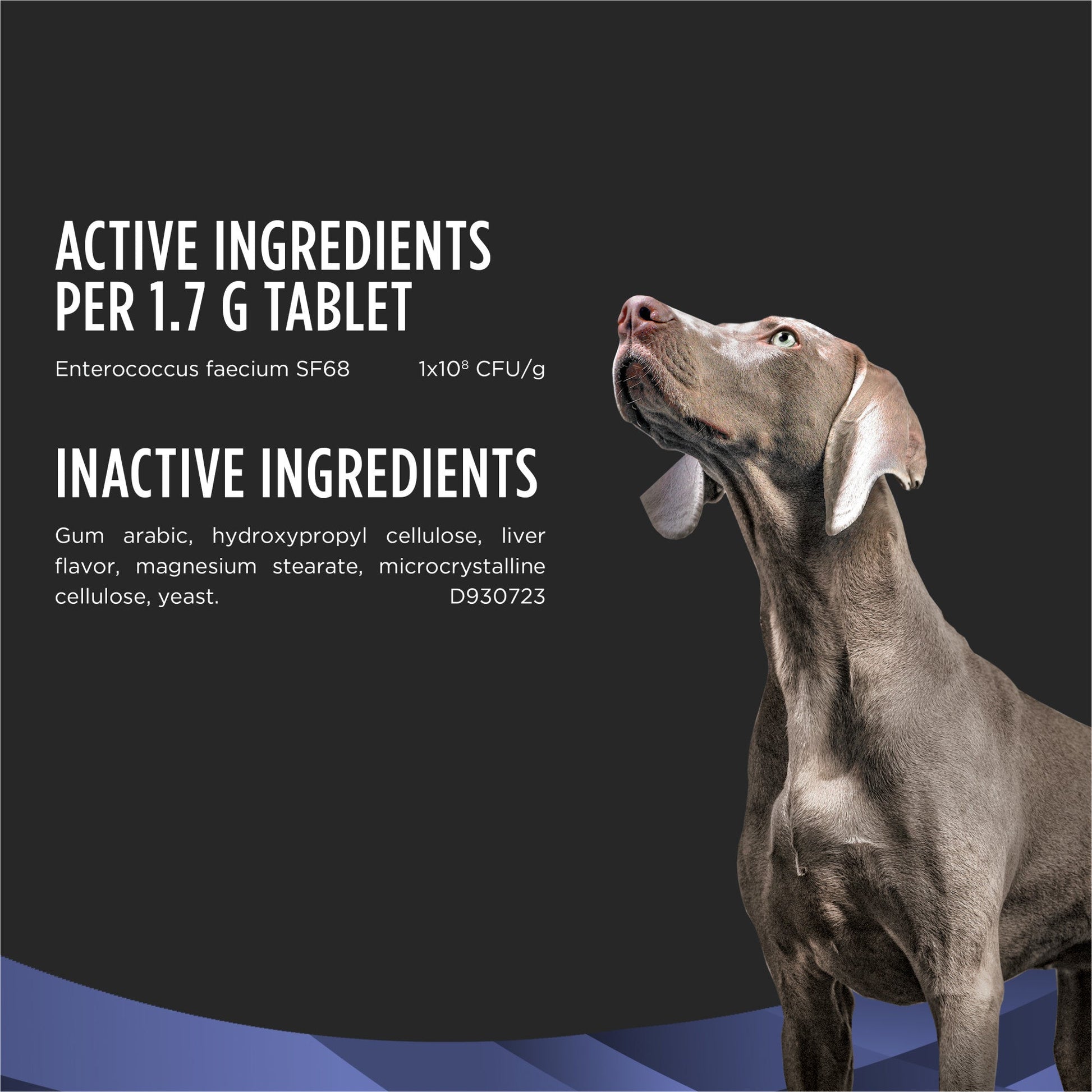 Ingredients list for chewable dog probiotic supplement with a focused image of a looking attentive dog on dark background