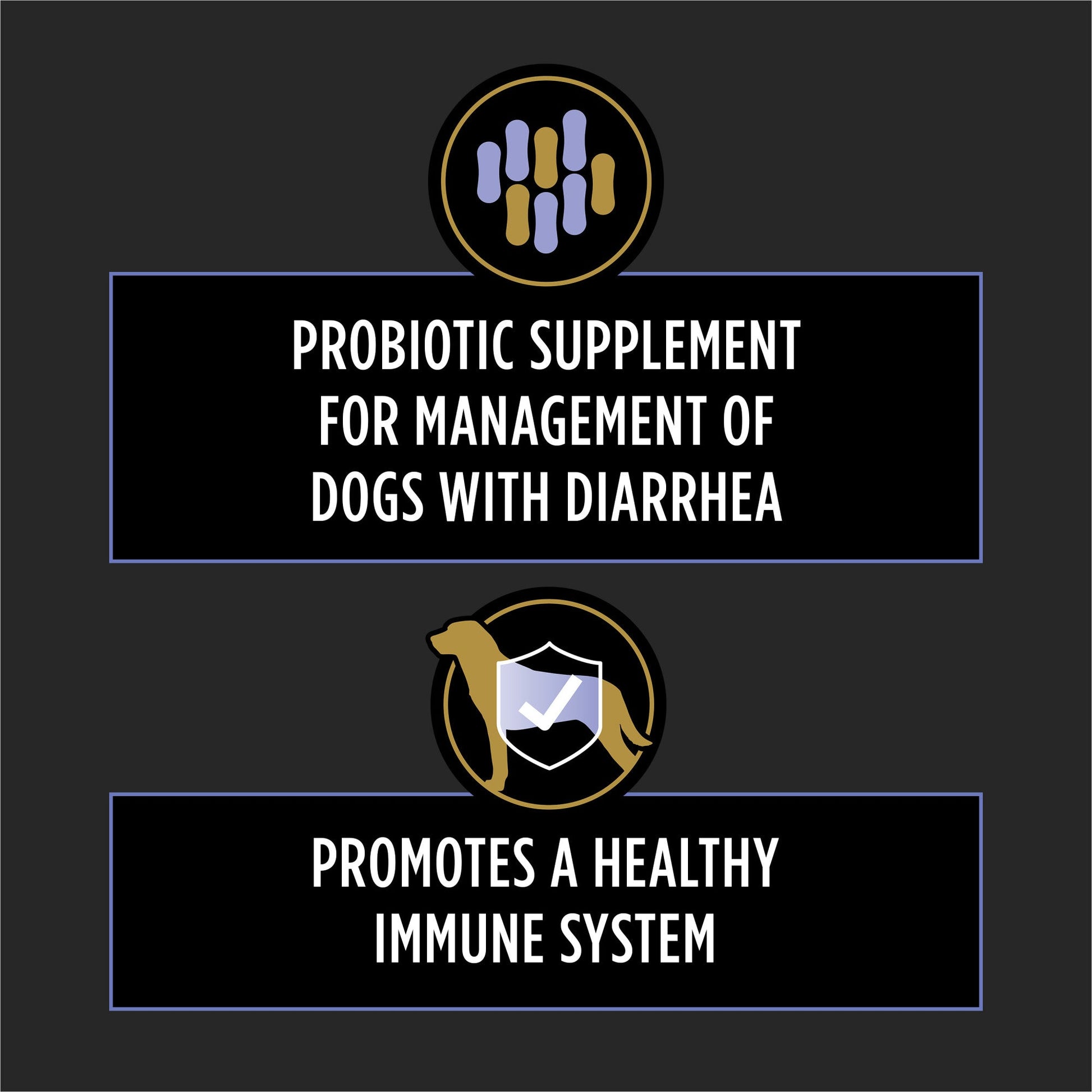 Text highlighting probiotic supplement benefits for dogs with diarrhea and immune system support in a clean design