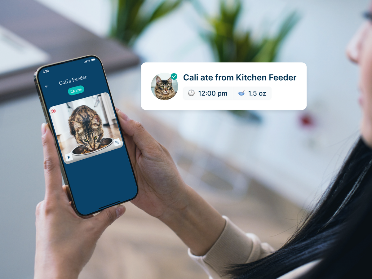A pet owner watches their cat eat from the Smart Feeder via live video in the Petivity app. 