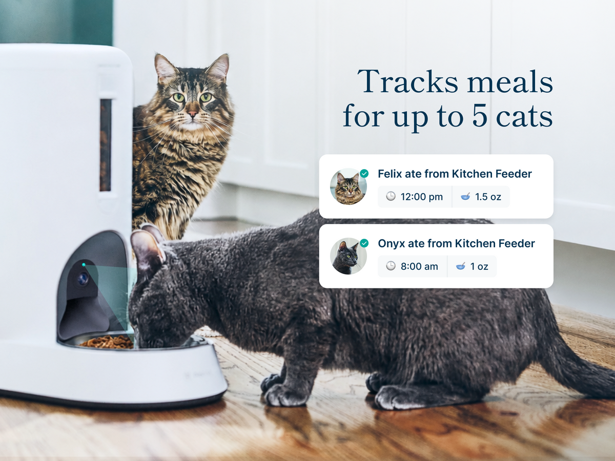 A cat eats from the Smart Feeder while a second cat watches. Text reads, 'Tracks meals for up to 5 cats.'