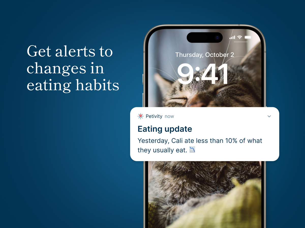 An eating alert from the Petivity app describes how a cat ate less than 10% of what they normally eat.