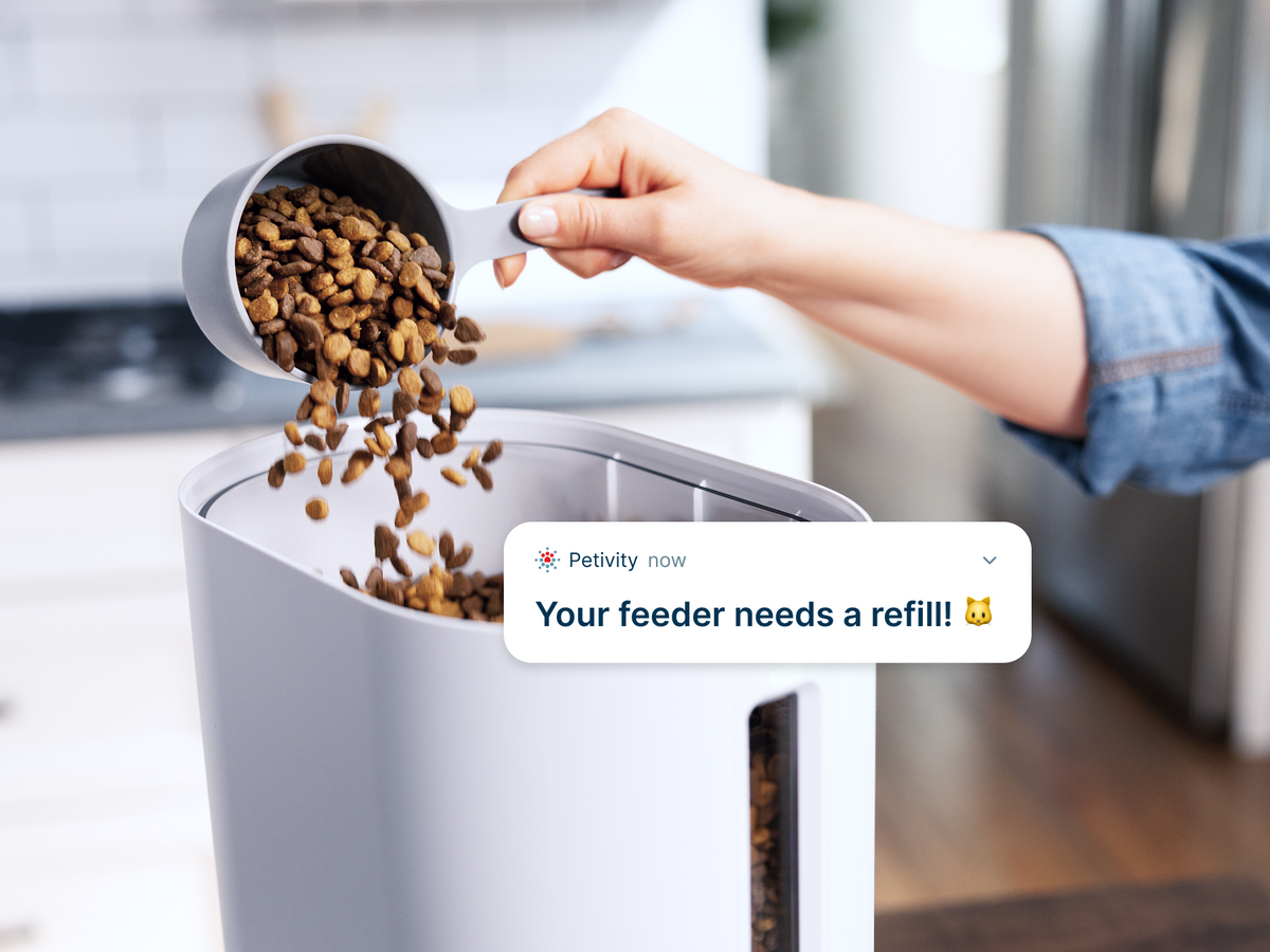A hand pours cat kibble into the Smart Feeder's food container. A Petivity app alert reads, 'Your feeder needs a refill.'