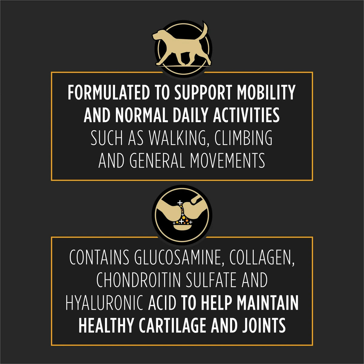 Text image highlighting joint supplement benefits for dogs to support mobility and maintain healthy cartilage with glucosamine and collagen