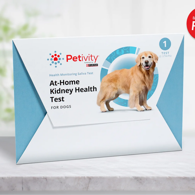Petivity At-Home Kidney Health Test for Dogs - 1CT