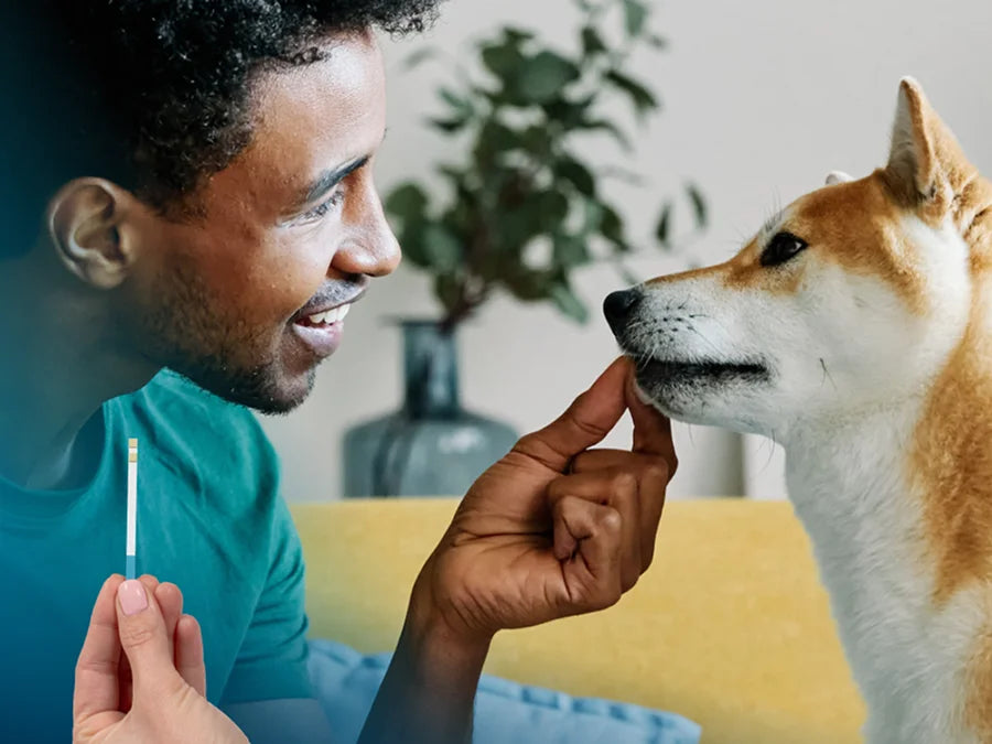 Man interacting gently with dog indoors while holding a kidney health test strip for dogs at home monitoring