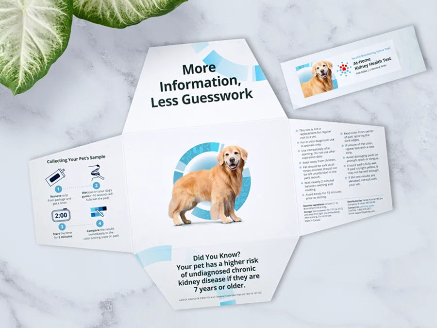Instruction pamphlet and test kit for at-home kidney health test for dogs with a golden retriever image on a white background