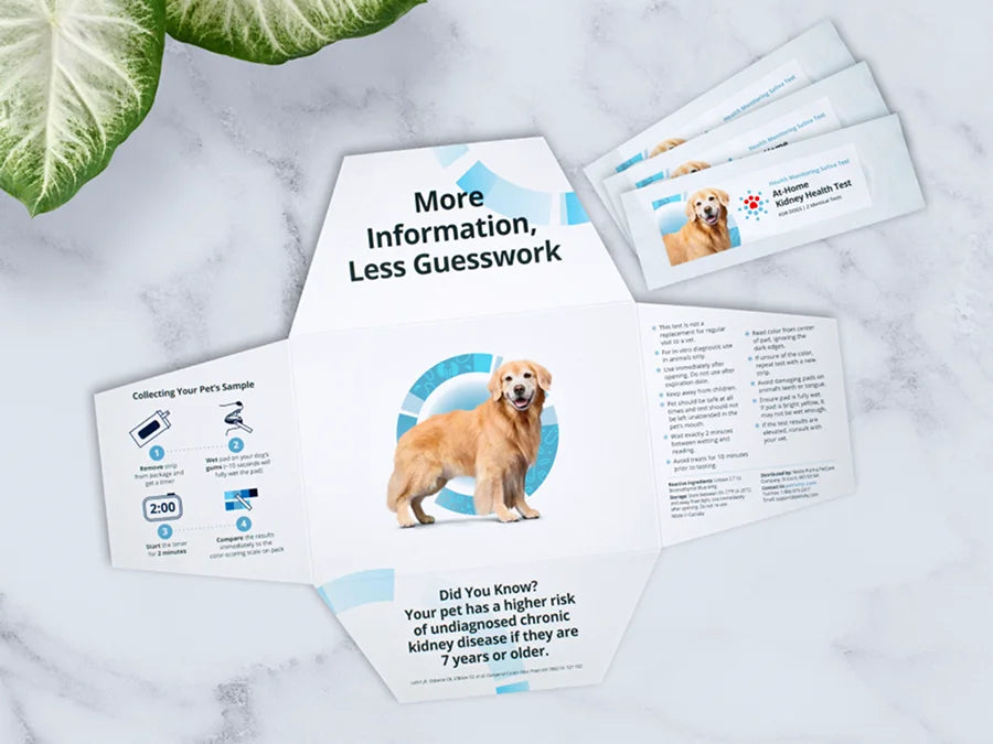 Petivity At-Home Kidney Health Test kit for dogs displayed on a marble surface with informational pamphlets and test strips.