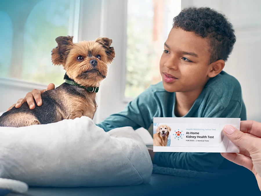 Young boy with small dog lying on bed while hand holds Petivity At-Home Kidney Health Test package for dogs