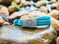 Blue dog collar with a compact GPS and activity tracker resting on a rock near a natural water setting
