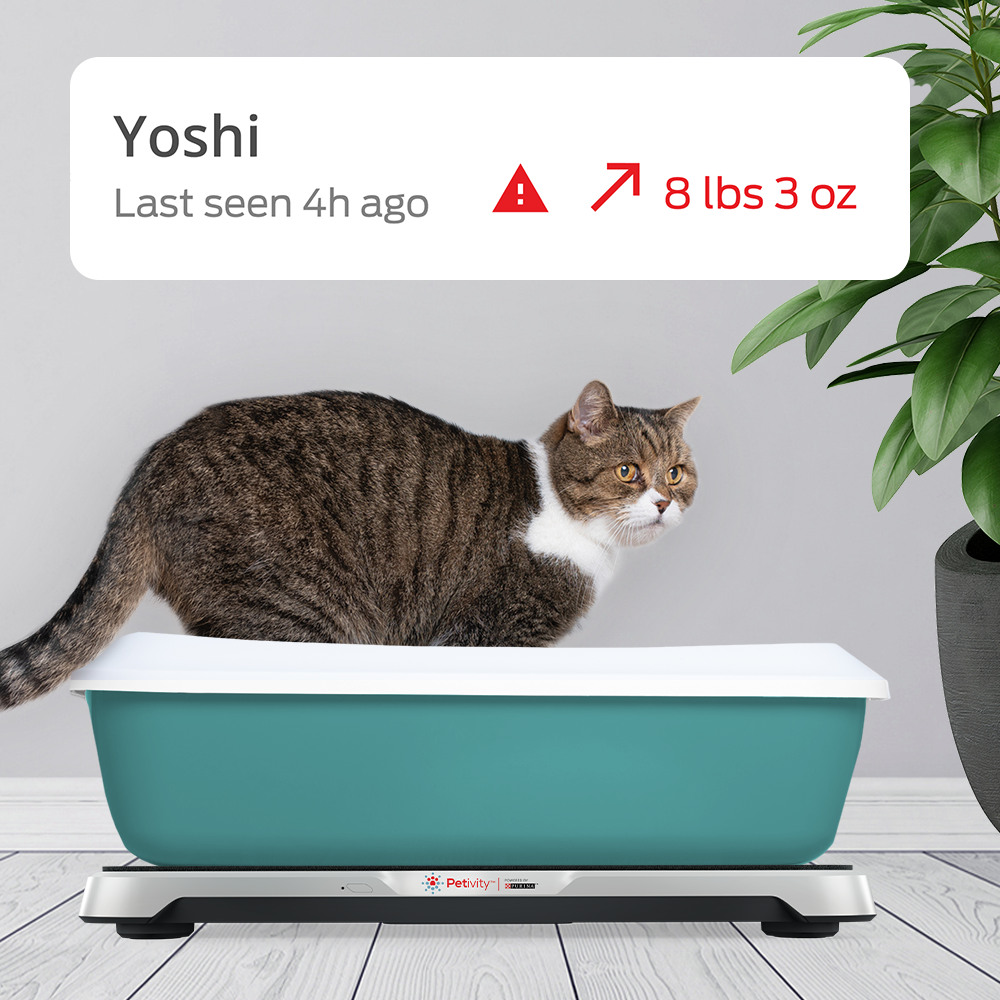 Cat litterbox with weight data