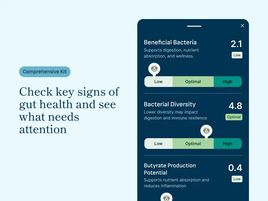 Microbiome analysis results screen showing gut health indicators for beneficial bacteria, bacterial diversity, and butyrate production potential levels.