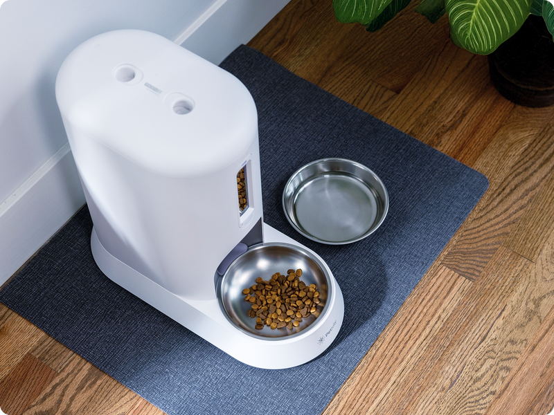 A bowl of water is next to an auto feeder for cats on the floor.