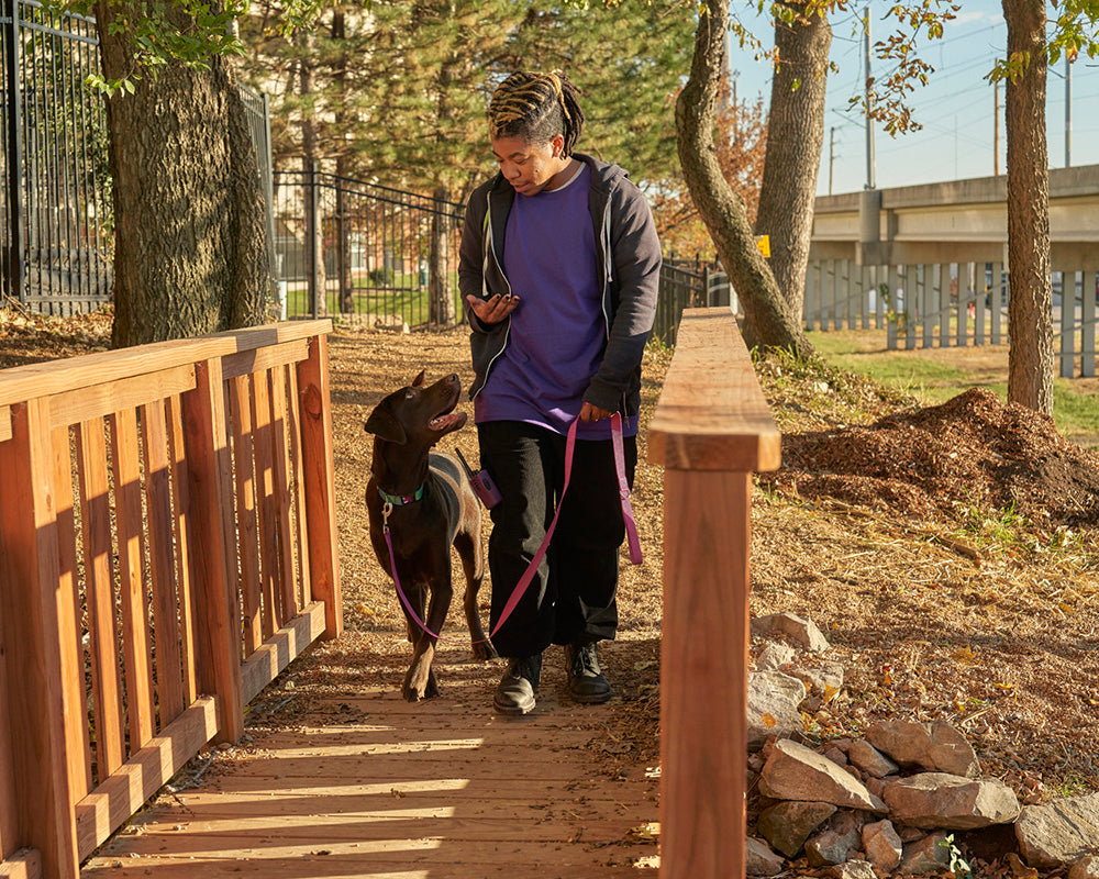 Person walking a chocolate Labrador on a leash along a wooded path.