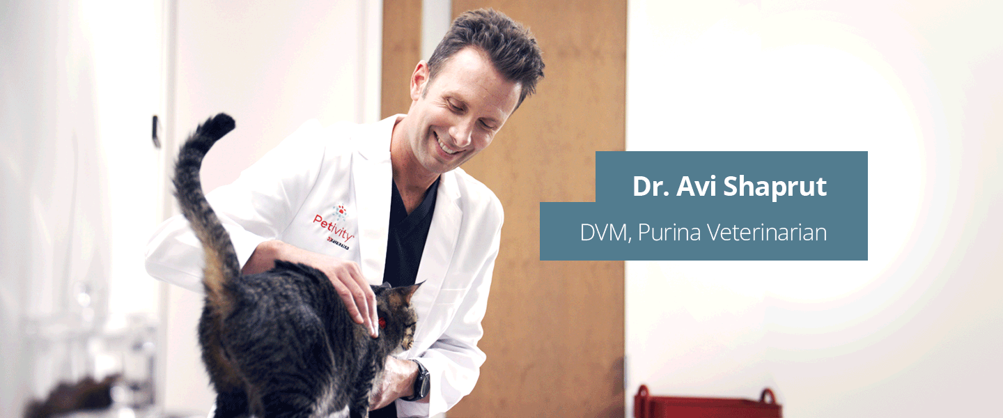 Dr. Avi Shaprut, DVM, Purina Veterinarian