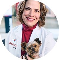 Dr. Julie Spears