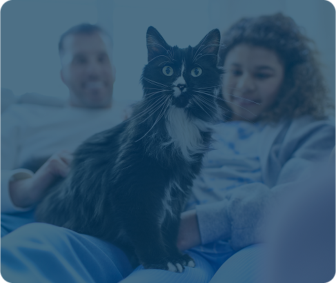 Black and white long-haired cat sitting on a blanket with two people blurred in the background.