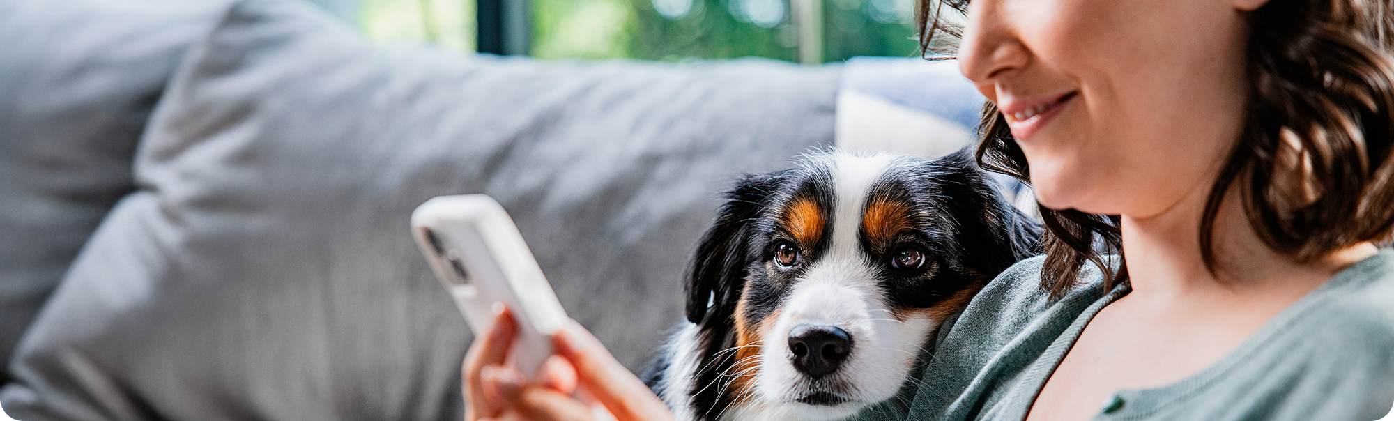 A woman sitting on a couch looking at her phone while a black, white, and brown dog rests its head on her chest.