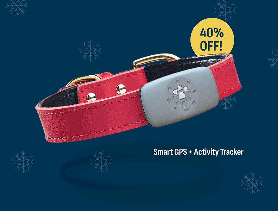 Holiday Sale Animation: 40% off on the Smart Litter Box Monitor and Smart GPS + Activity Tracker, and 30% off on At-Home Pet Health Tests.