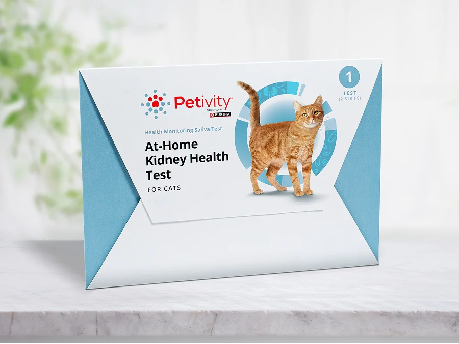 Petivity At-Home Kidney Health Test kit for cats showing packaging with an orange tabby cat on a white surface