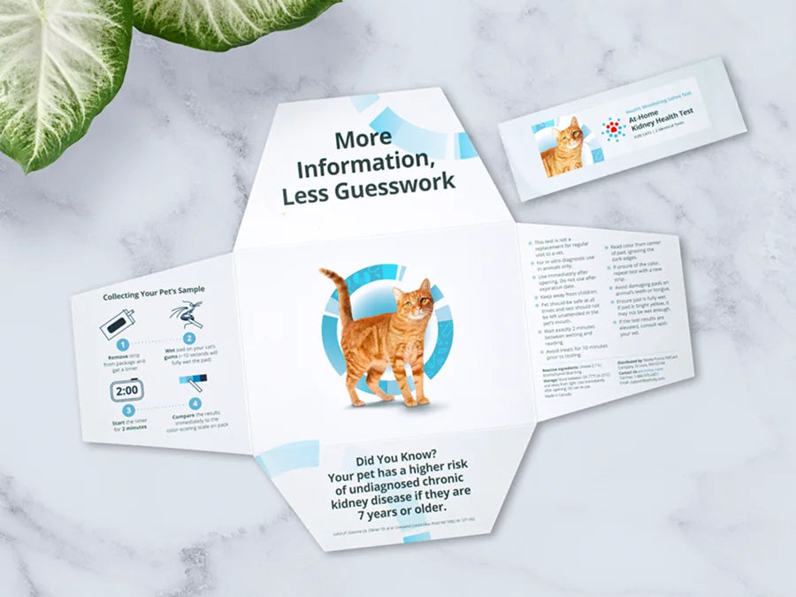 Petivity At-Home Kidney Health Test kit for cats with instructions and a picture of an orange cat on a marble surface